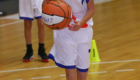 Limoges ABC - Limoges ABC - La Tronche-Meylan (31)